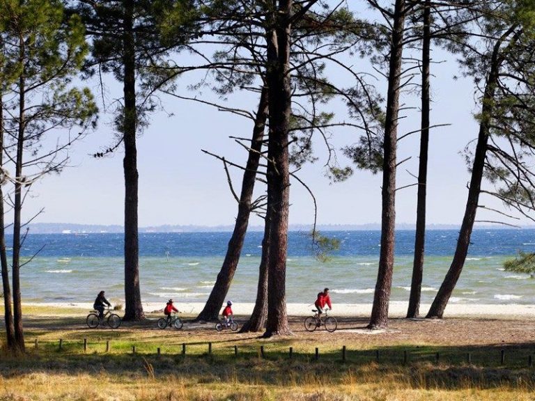 Que faire durant votre séjour à Biscarrosse ? Labyrinthe du corsaire Que faire durant votre séjour à Biscarrosse ? Labyrinthe du corsaire